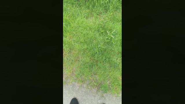 Boyy32_  31-05-2022 Recorded Video fuckher