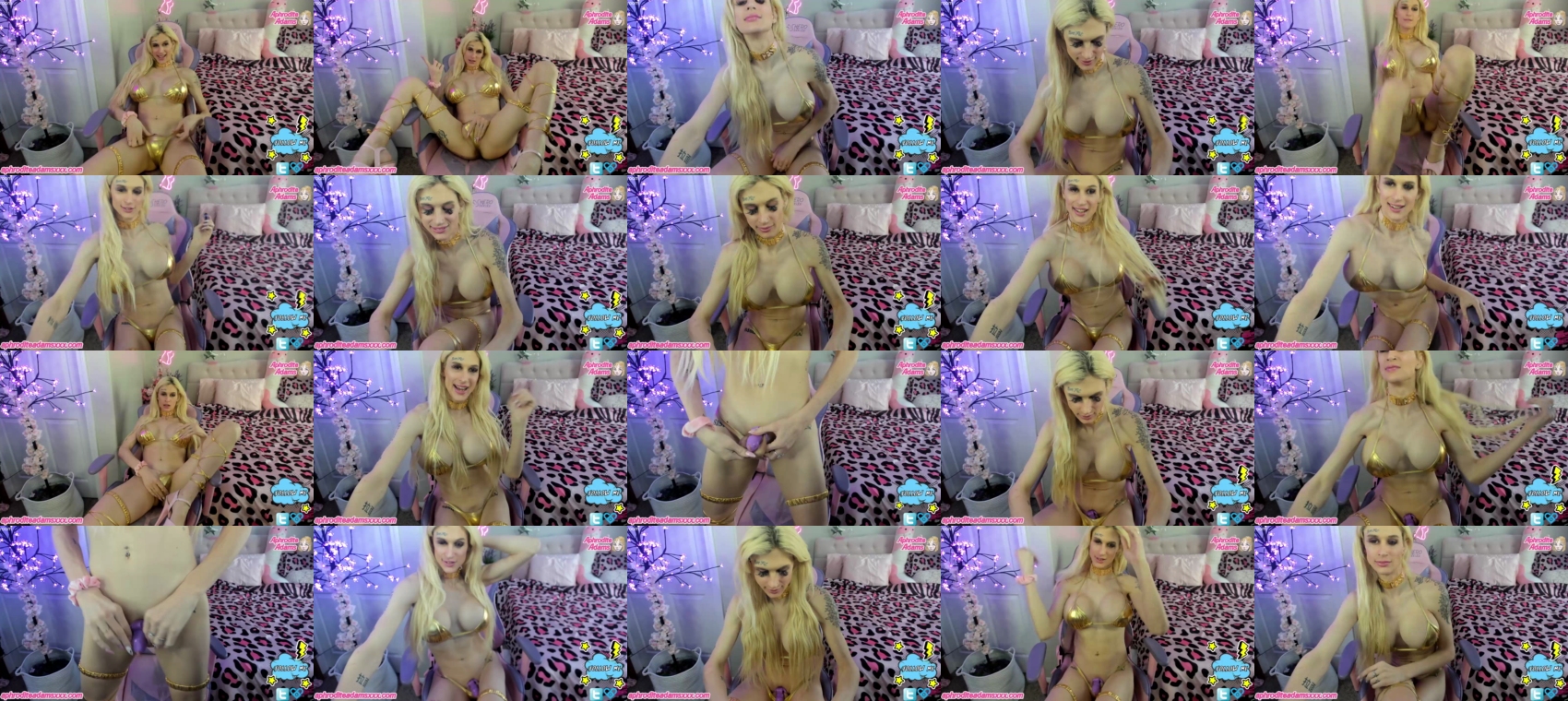 tsaphroditeadams ts 30-05-2022  trans striptease