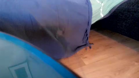 Xhairyguy  01-06-2022 Recorded Video blowjob
