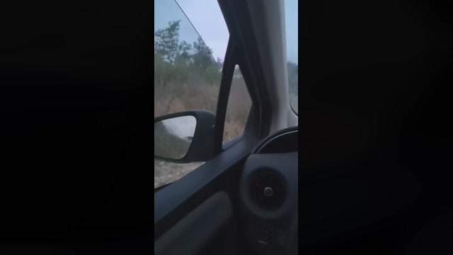 brescia19753  31-05-2022 Recorded Video ass