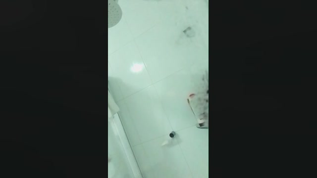 DeFloripaa  02-06-2022 Recorded Video Download