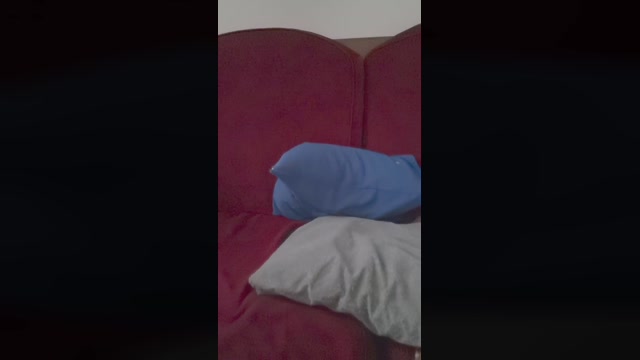 Ori1  02-06-2022 Recorded Video lick