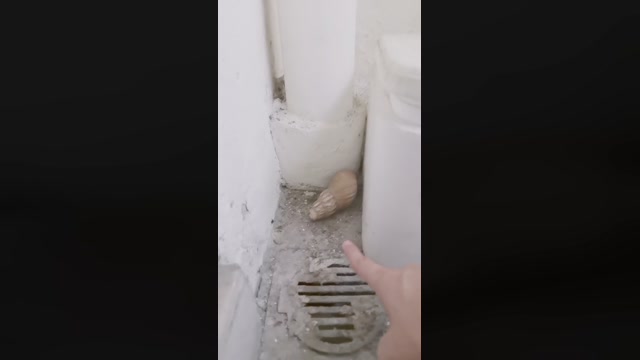 Ori1  02-06-2022 Recorded Video yummy