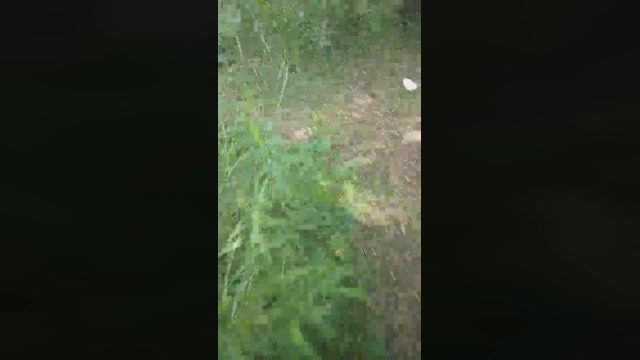 emanuele033  01-06-2022 Recorded Video hard
