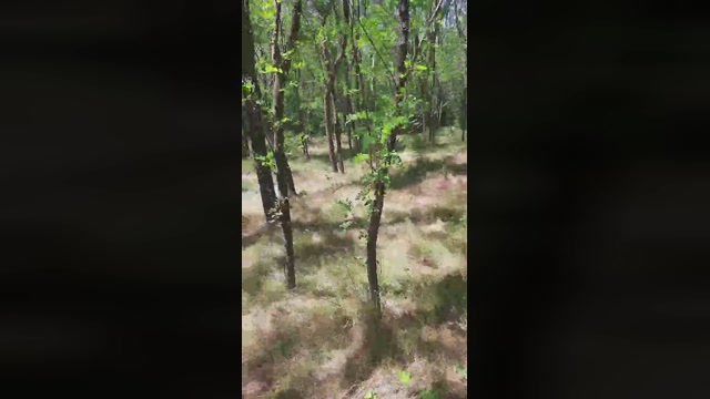 faraon47  02-06-2022 Recorded Video kissing