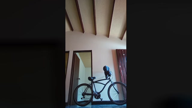 xzen1  01-06-2022 Recorded Video natural