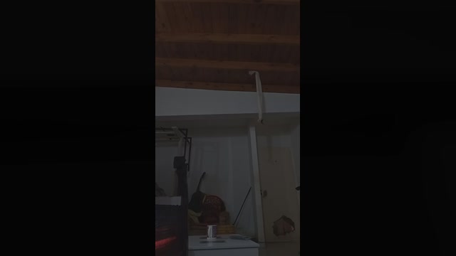 gabriel4205  03-06-2022 Recorded Video Topless