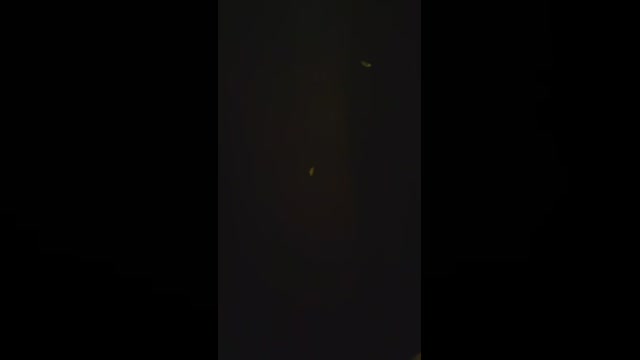 tarcton78  03-06-2022 Recorded Video gag