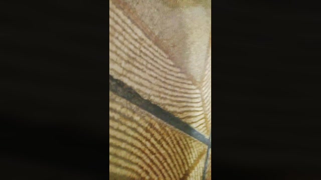 DOCEMENINA 03-06-2022 blowjob 