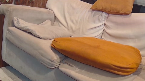 biengrossa  04-06-2022 video blowjob