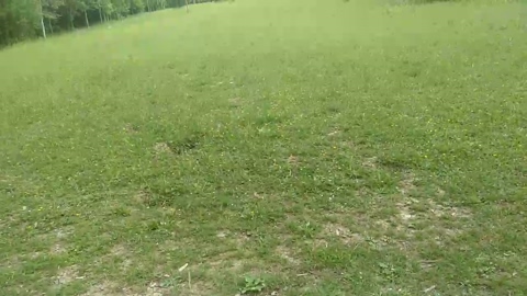 despacitofonsi  04-06-2022 Recorded Video Naked