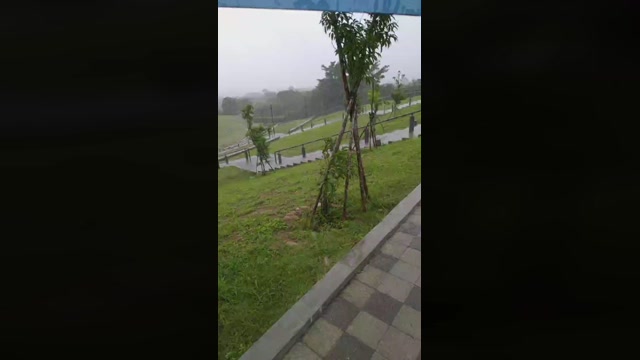 tarcton78  04-06-2022 Recorded Video lush