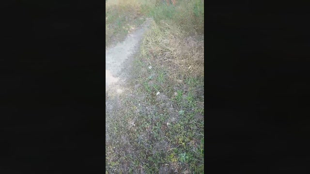 emanuele033  05-06-2022 Recorded Video toys