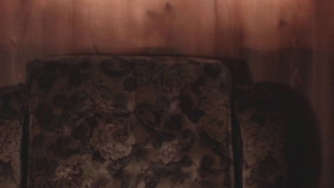 porn88s  05-06-2022 video beauty