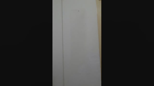 Freddyorso  05-06-2022 Recorded Video twink