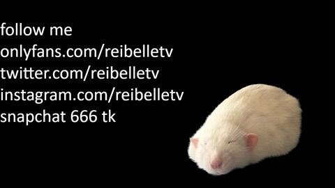 reibelletv 06-06-2022 pussy 