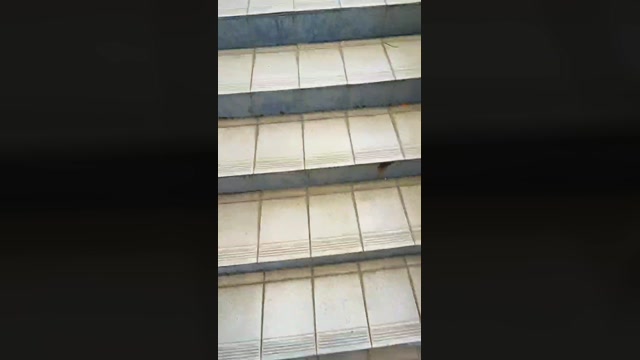 wlu4730  06-06-2022 Recorded Video toy