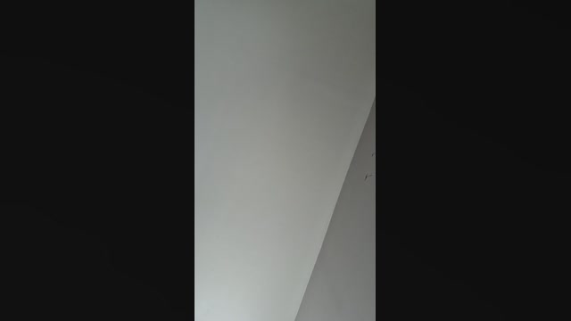 Doperman  07-06-2022 Recorded Video suckcock
