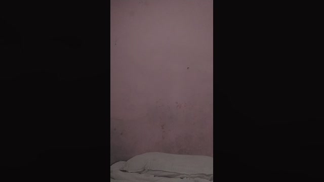 Gatomalhado2022  07-06-2022 Recorded Video gag