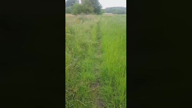 monsterlover  07-06-2022 Recorded Video deep
