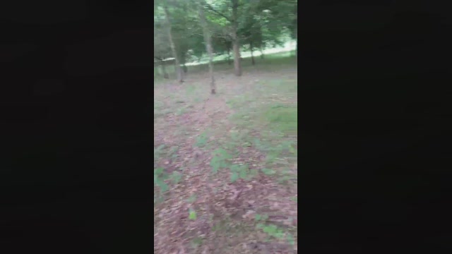 monsterlover  07-06-2022 Recorded Video Video