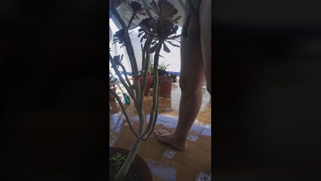 pacohotsexy4  07-06-2022 Recorded Video gag