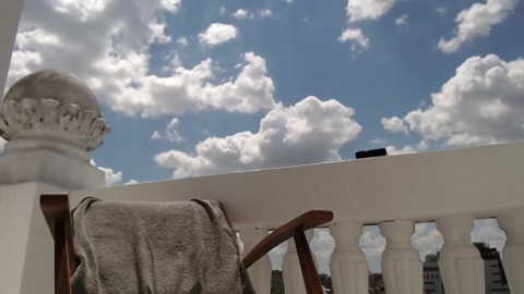 tralalabala  07-06-2022 video beautiful