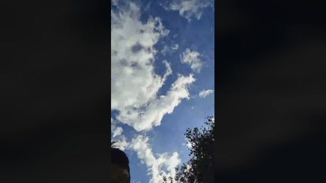 Doperman  07-06-2022 Recorded Video hardcock