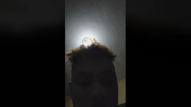 Gatomalhado2022