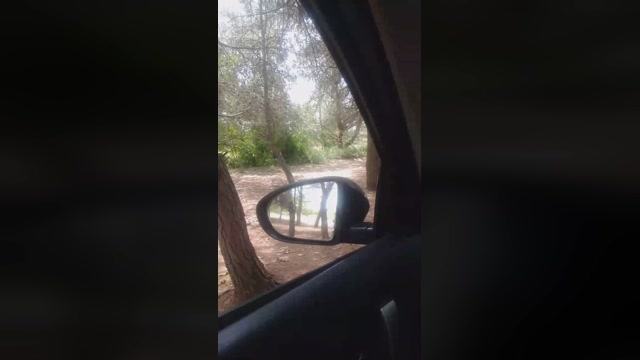 bnees  08-06-2022 Recorded Video Video