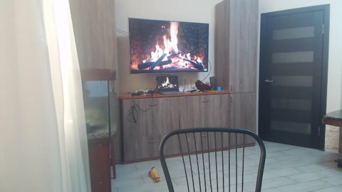 denhummer  07-06-2022 video bicurious