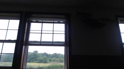 lancehardin  07-06-2022 video bicurious