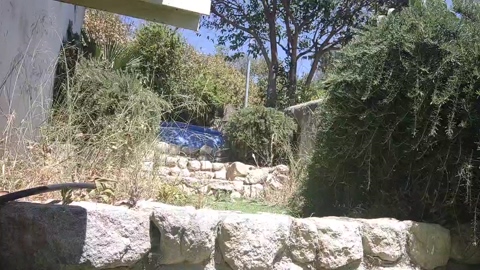 proB8  09-06-2022 Recorded Video sweet