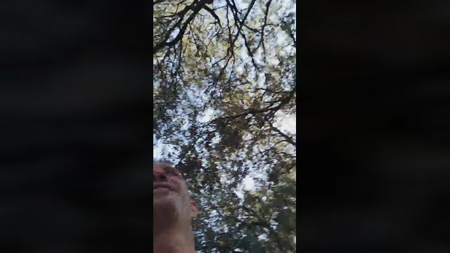 Passsif  11-06-2022 Recorded Video beautiful