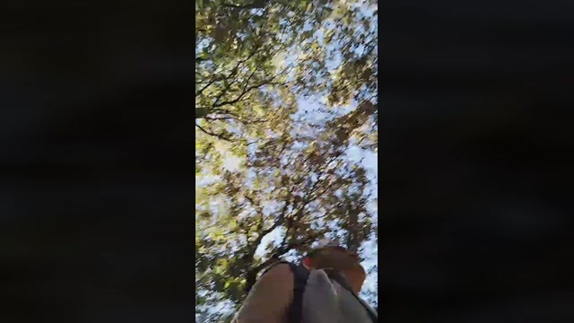 Passsif  11-06-2022 Recorded Video gay