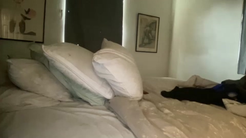 bigdadpenis  11-06-2022 video naughty