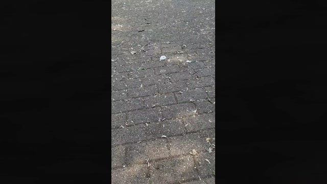 giorgio526  11-06-2022 Recorded Video XXX