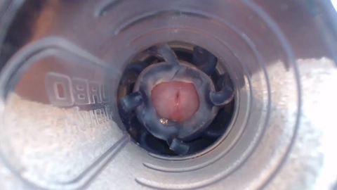 jeffrodgerschaturbat  10-06-2022 video show