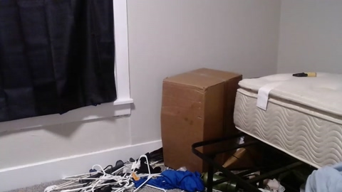 livewir31  11-06-2022 video analtoy