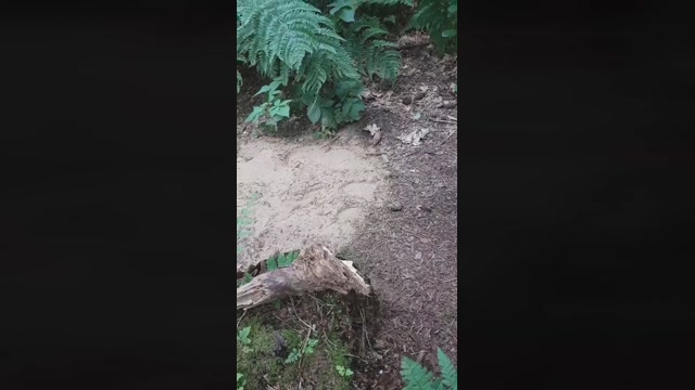 bbtomRE  12-06-2022 Recorded Video Cam