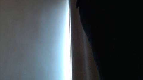 25x6cms  12-06-2022 Recorded Video analtoy