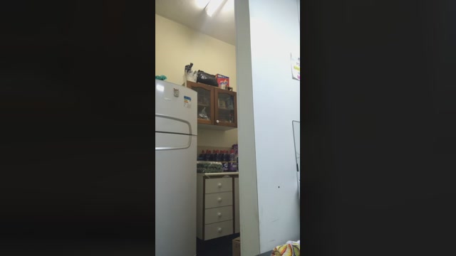 Dom25_dom  12-06-2022 Recorded Video wank