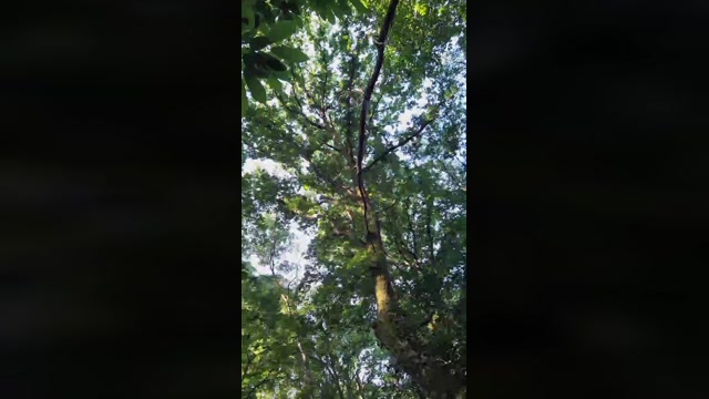 Doperman  12-06-2022 Recorded Video sexyfeet