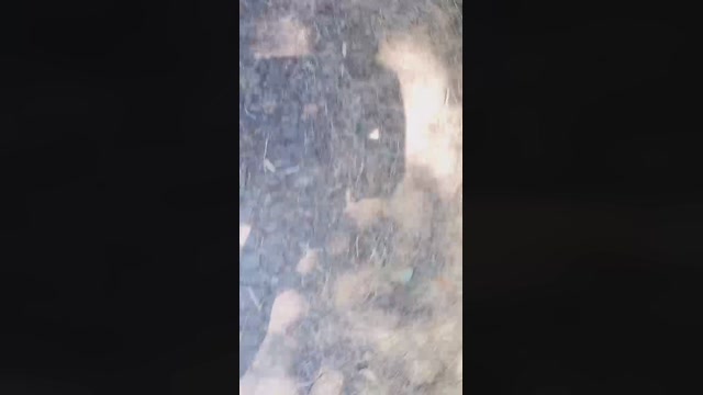 sexyladyp 13-06-2022 spank 