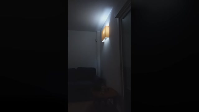 SteisyMaliibu
