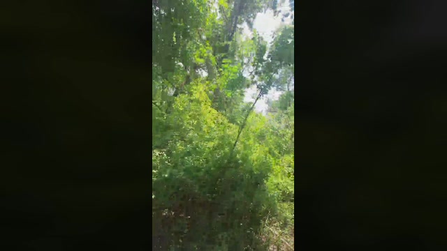 faraon47  14-06-2022 Recorded Video nasty