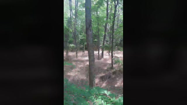 faraon47  14-06-2022 Recorded Video Download