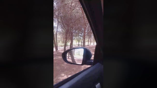 Bcnees  15-06-2022 Recorded Video suckcock