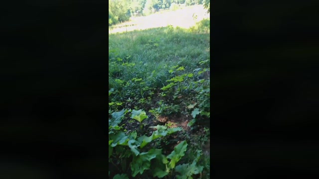 Outdoorgeil1  15-06-2022 Recorded Video Video
