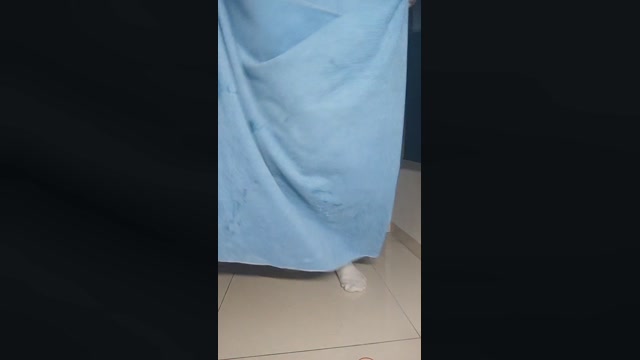 wlu4730  14-06-2022 Recorded Video amateur